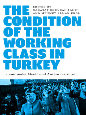 cover image of The Condition of the Working Class in Turkey